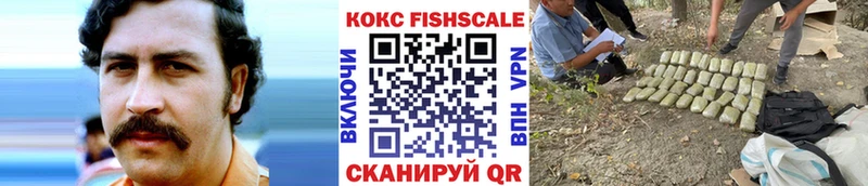 Купить  Малмыж  Cocaine Fish Scale 