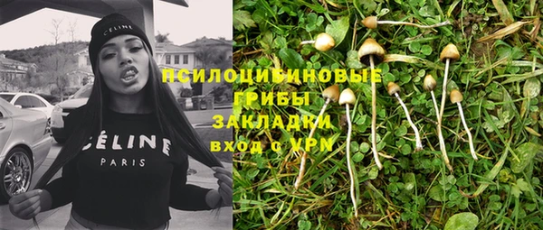 молекула духа Бронницы