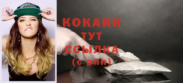 молекула духа Бронницы