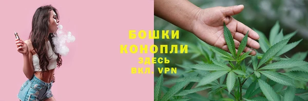 молекула духа Бронницы