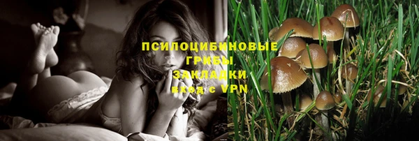 круглые Бородино