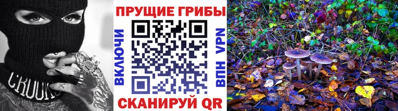 Купить где  Малмыж  Галлюциногенные грибы прущие грибы 